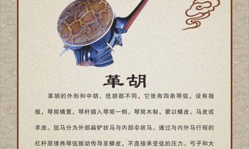 松茸和松茸菇一样吗-松茸和松茸的区别是什么网- 松茸和松茸菌一样吗知识,分享姫松茸和松茸的区别