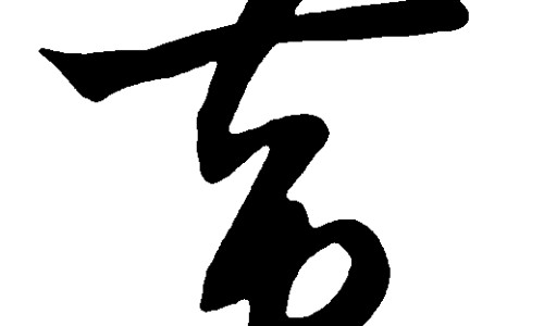 松茸和松茸的区别是什么网- 松茸和松茸菌一样吗知识,分享姫松茸和松茸的区别
